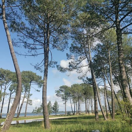 Appartements Au Coeur Du Golf, Proche Du Lac Et Velodyssee Бискаррос Экстерьер фото